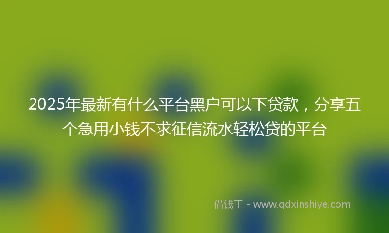 2025年最新有什么平台黑户可以下贷款，分享五个急用小钱不求征信流水轻松贷的平台