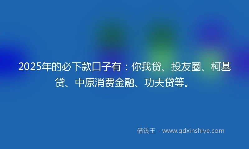 2025年的必下款口子有：你我贷、投友圈、柯基贷、中原消费金融、功夫贷等。