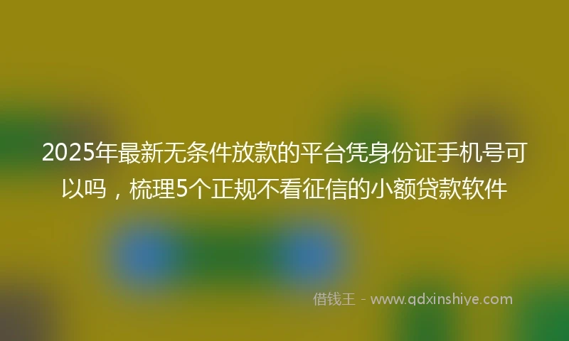 2025年最新无条件放款的平台凭身份证手机号可以吗,梳理5个正规不看征信的小额贷款软件