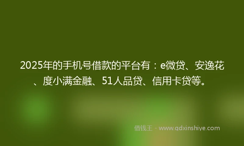 2025年的手机号借款的平台有：e微贷、安逸花、度小满金融、51人品贷、信用卡贷等。