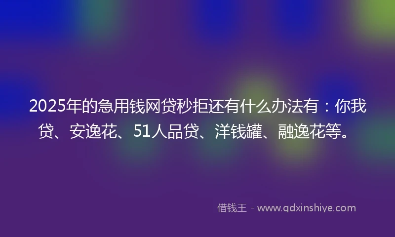 2025年的急用钱网贷秒拒还有什么办法有：你我贷、安逸花、51人品贷、洋钱罐、融逸花等。