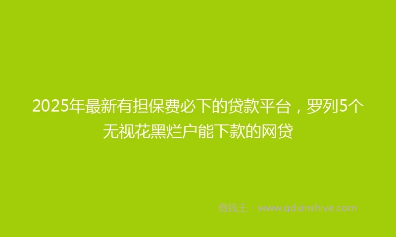 2025年最新有担保费必下的贷款平台，罗列5个无视花黑烂户能下款的网贷