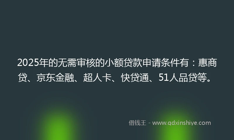 2025年的无需审核的小额贷款申请条件有：惠商贷、京东金融、超人卡、快贷通、51人品贷等。