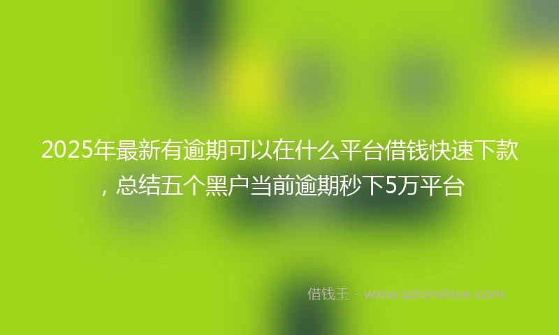 2025年最新有逾期可以在什么平台借钱快速下款，总结五个黑户当前逾期秒下5万平台