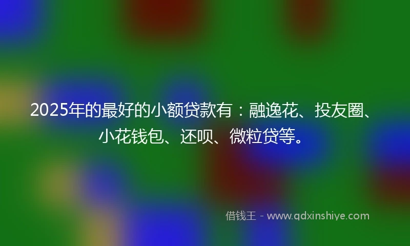 2025年的最好的小额贷款有：融逸花、投友圈、小花钱包、还呗、微粒贷等。