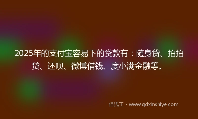 2025年的支付宝容易下的贷款有：随身贷、拍拍贷、还呗、微博借钱、度小满金融等。