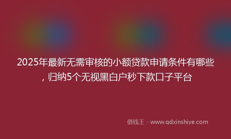 2025年最新无需审核的小额贷款申请条件有哪些，归纳5个无视黑白户秒下款口子平台