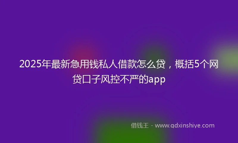 2025年最新急用钱私人借款怎么贷，概括5个网贷口子风控不严的app