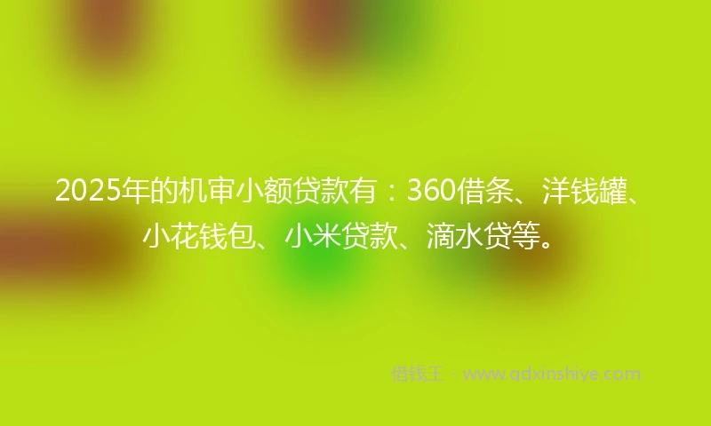 2025年的机审小额贷款有：360借条、洋钱罐、小花钱包、小米贷款、滴水贷等。