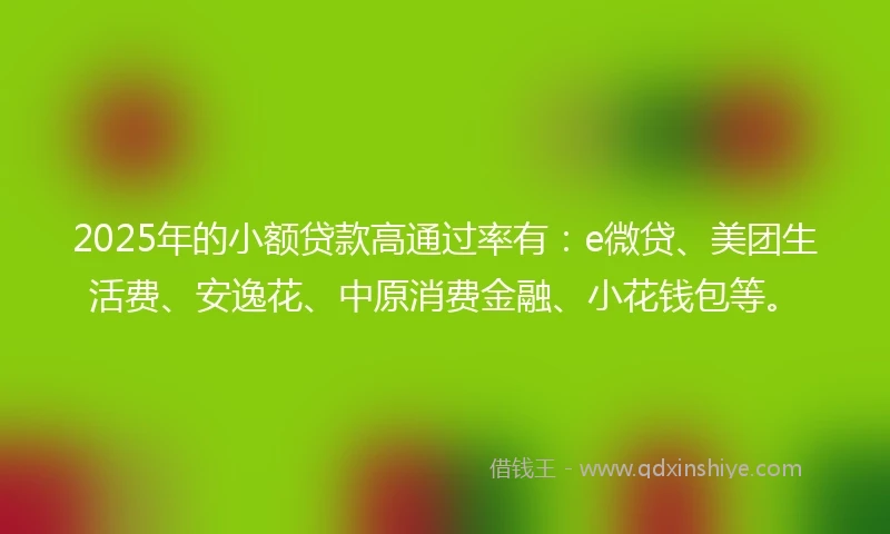 2025年的小额贷款高通过率有：e微贷、美团生活费、安逸花、中原消费金融、小花钱包等。