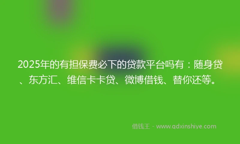2025年的有担保费必下的贷款平台吗有：随身贷、东方汇、维信卡卡贷、微博借钱、替你还等。