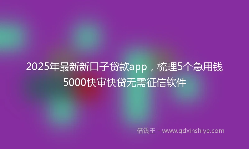 2025年最新新口子贷款app，梳理5个急用钱5000快审快贷无需征信软件