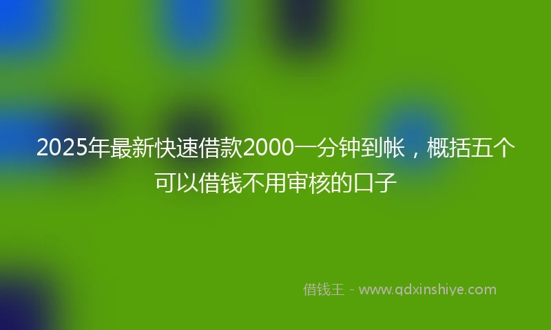 2025年最新快速借款2000一分钟到帐，概括五个可以借钱不用审核的口子
