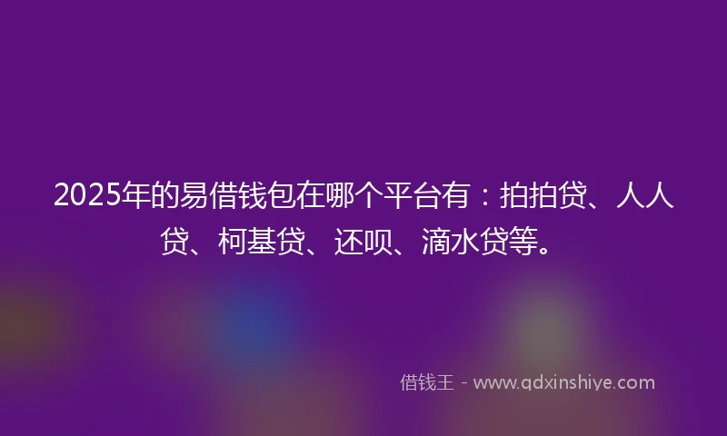 2025年的易借钱包在哪个平台有：拍拍贷、人人贷、柯基贷、还呗、滴水贷等。