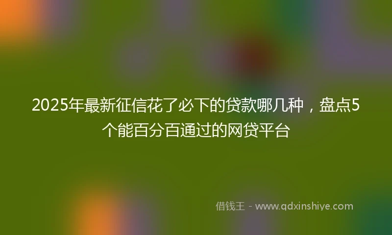 2025年最新征信花了必下的贷款哪几种，盘点5个能百分百通过的网贷平台