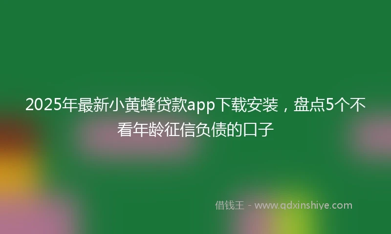 2025年最新小黄蜂贷款app下载安装，盘点5个不看年龄征信负债的口子