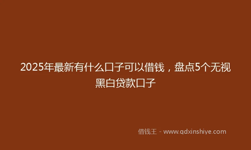 2025年最新有什么口子可以借钱，盘点5个无视黑白贷款口子