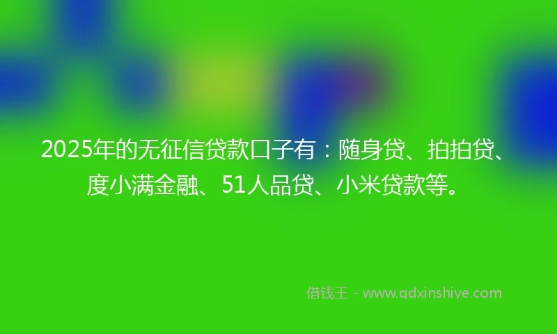 2025年的无征信贷款口子有：随身贷、拍拍贷、度小满金融、51人品贷、小米贷款等。