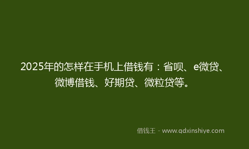 2025年的怎样在手机上借钱有：省呗、e微贷、微博借钱、好期贷、微粒贷等。
