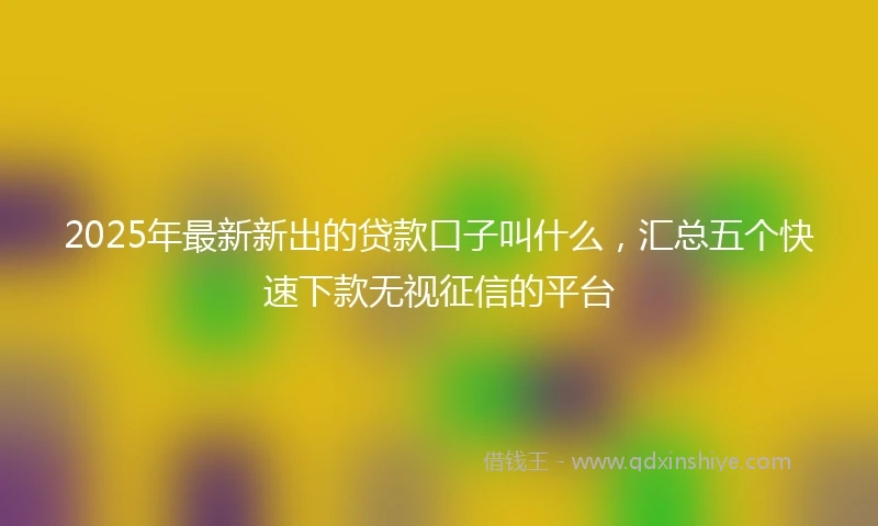 2025年最新新出的贷款口子叫什么，汇总五个快速下款无视征信的平台