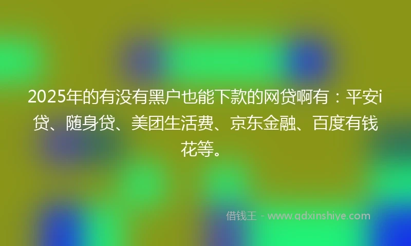 2025年的有没有黑户也能下款的网贷啊有：平安i贷、随身贷、美团生活费、京东金融、百度有钱花等。