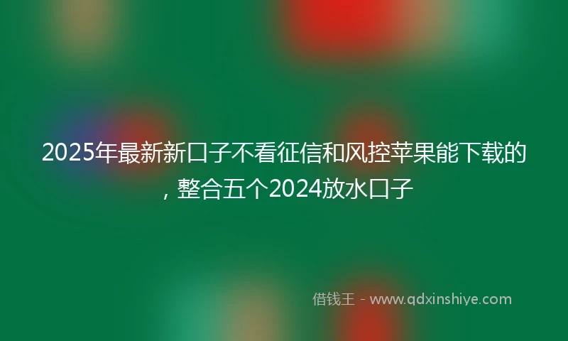 2025年最新新口子不看征信和风控苹果能下载的，整合五个2024放水口子