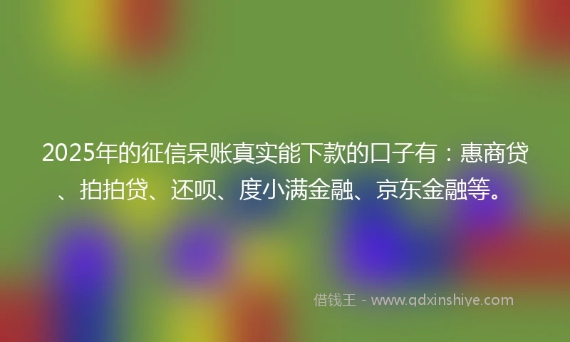 2025年的征信呆账真实能下款的口子有：惠商贷、拍拍贷、还呗、度小满金融、京东金融等。