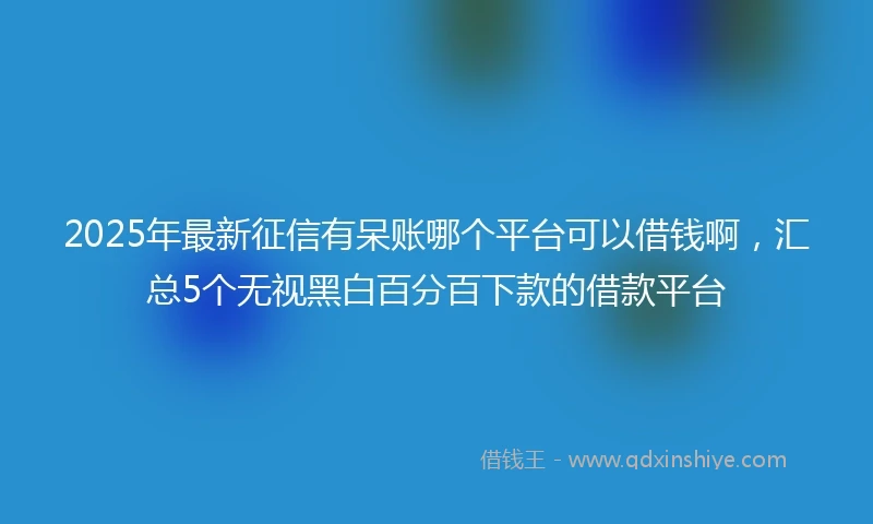 2025年最新征信有呆账哪个平台可以借钱啊，汇总5个无视黑白百分百下款的借款平台