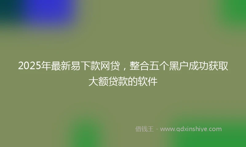 2025年最新易下款网贷，整合五个黑户成功获取大额贷款的软件