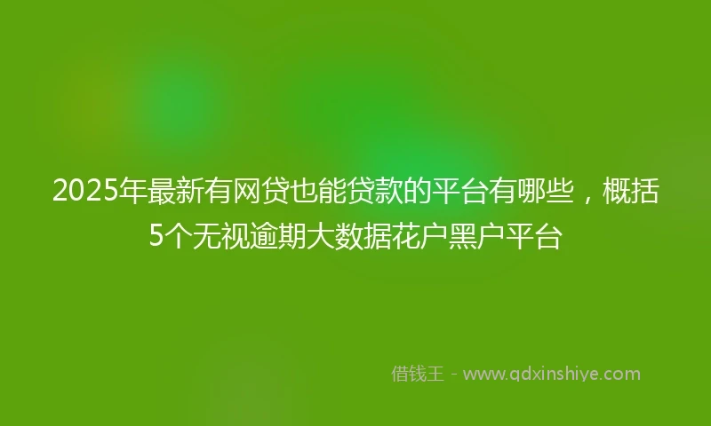 2025年最新有网贷也能贷款的平台有哪些，概括5个无视逾期大数据花户黑户平台