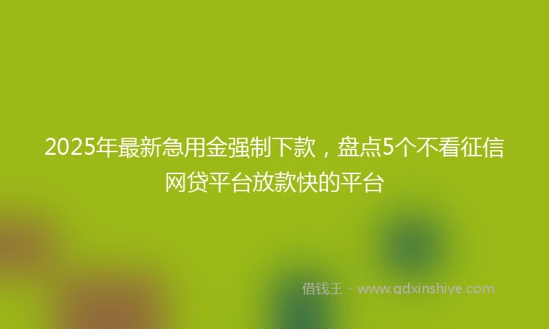 2025年最新急用金强制下款，盘点5个不看征信网贷平台放款快的平台