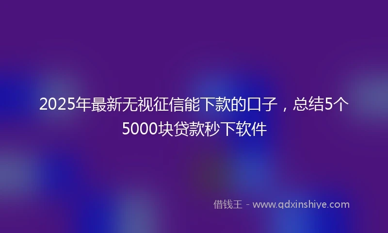 2025年最新无视征信能下款的口子，总结5个5000块贷款秒下软件