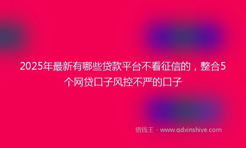 2025年最新有哪些贷款平台不看征信的，整合5个网贷口子风控不严的口子