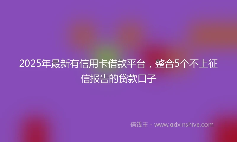 2025年最新有信用卡借款平台，整合5个不上征信报告的贷款口子
