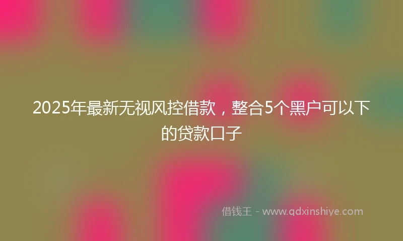2025年最新无视风控借款，整合5个黑户可以下的贷款口子