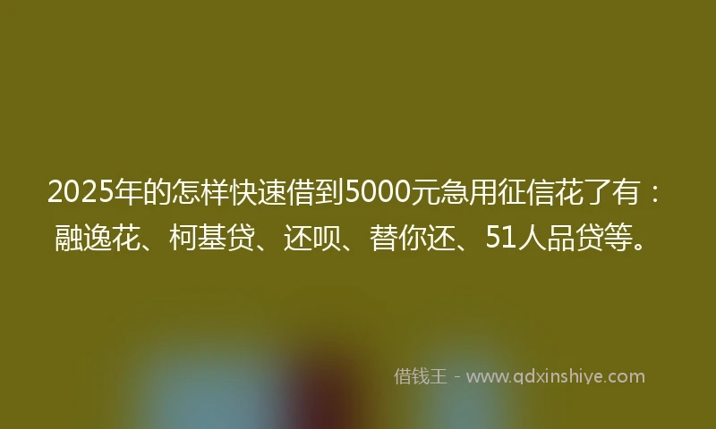 2025年的怎样快速借到5000元急用征信花了有：融逸花、柯基贷、还呗、替你还、51人品贷等。