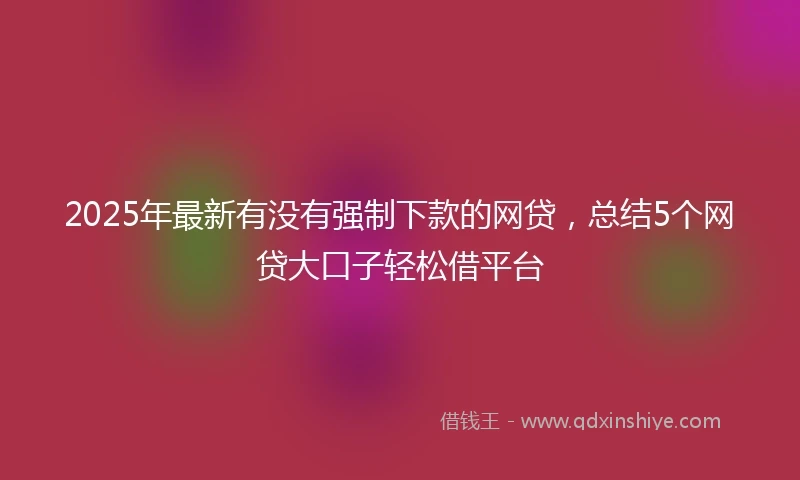2025年最新有没有强制下款的网贷，总结5个网贷大口子轻松借平台