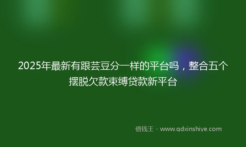 2025年最新有跟芸豆分一样的平台吗，整合五个摆脱欠款束缚贷款新平台