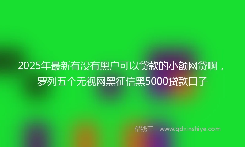 2025年最新有没有黑户可以贷款的小额网贷啊，罗列五个无视网黑征信黑5000贷款口子
