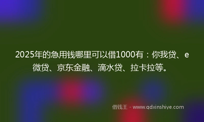 2025年的急用钱哪里可以借1000有：你我贷、e微贷、京东金融、滴水贷、拉卡拉等。