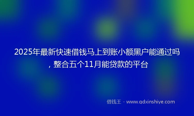 2025年最新快速借钱马上到账小额黑户能通过吗，整合五个11月能贷款的平台