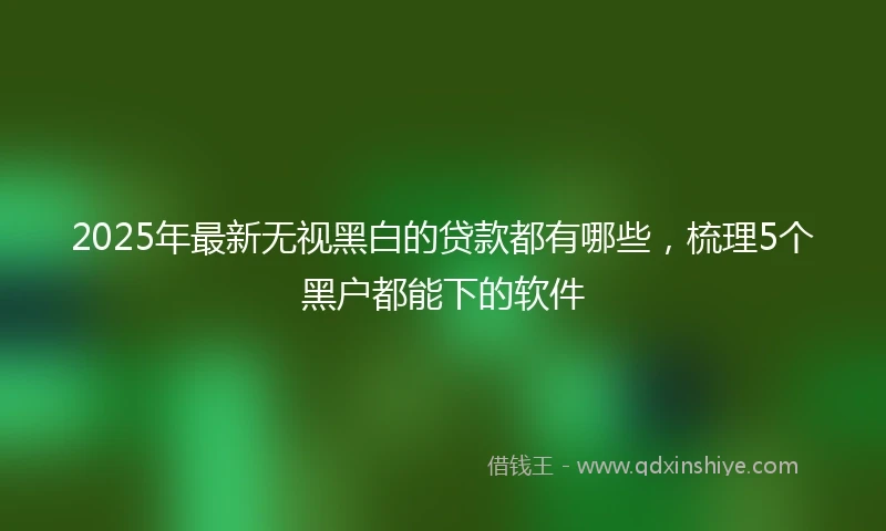 2025年最新无视黑白的贷款都有哪些，梳理5个黑户都能下的软件