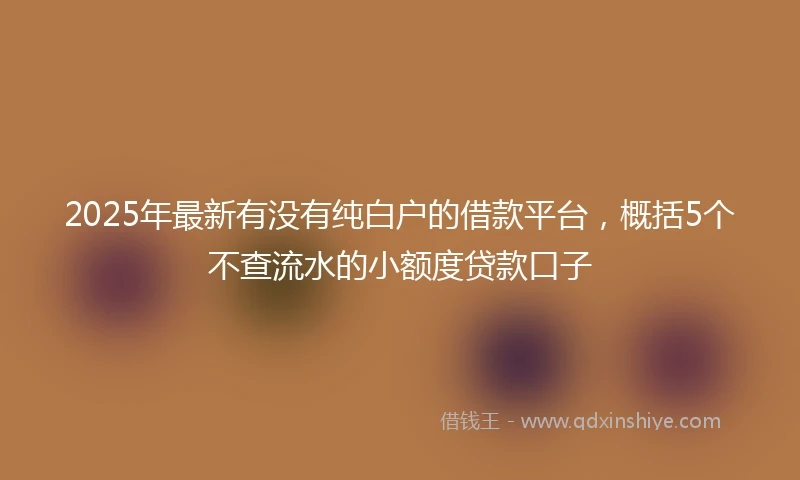 2025年最新有没有纯白户的借款平台，概括5个不查流水的小额度贷款口子