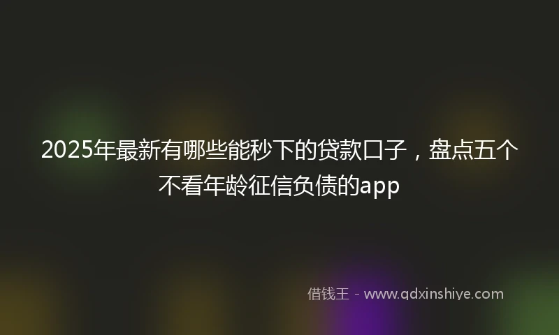 2025年最新有哪些能秒下的贷款口子，盘点五个不看年龄征信负债的app