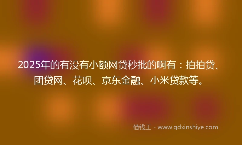 2025年的有没有小额网贷秒批的啊有：拍拍贷、团贷网、花呗、京东金融、小米贷款等。