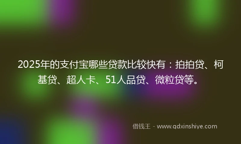 2025年的支付宝哪些贷款比较快有：拍拍贷、柯基贷、超人卡、51人品贷、微粒贷等。