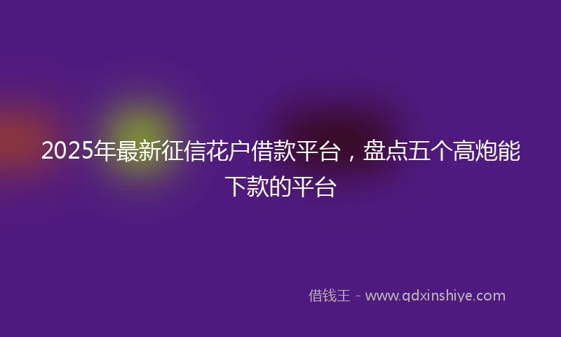 2025年最新征信花户借款平台，盘点五个高炮能下款的平台