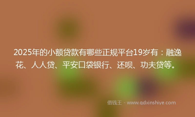 2025年的小额贷款有哪些正规平台19岁有：融逸花、人人贷、平安口袋银行、还呗、功夫贷等。