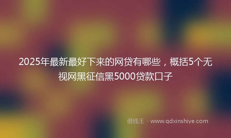 2025年最新最好下来的网贷有哪些，概括5个无视网黑征信黑5000贷款口子