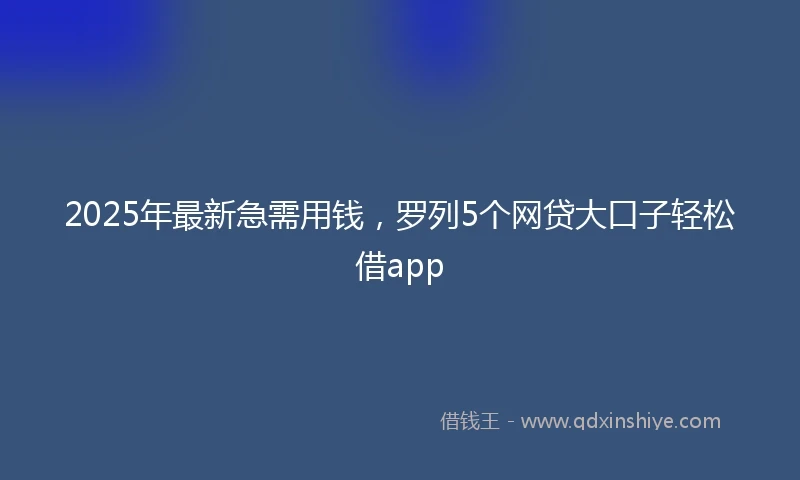 2025年最新急需用钱，罗列5个网贷大口子轻松借app